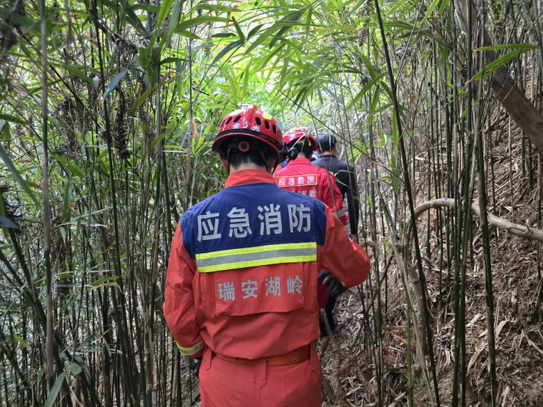 春节出游被困深山！瑞安消防20分钟抬出受伤游客