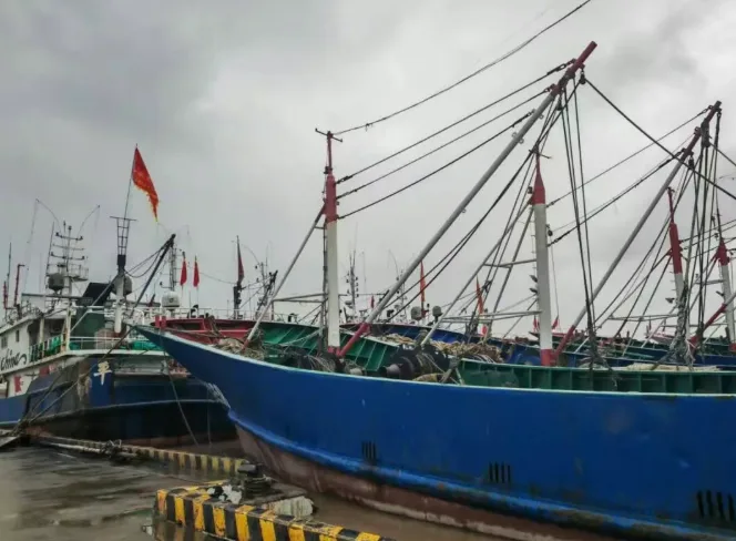 新年首批渔船扬帆出海 平阳开启新春第一捕