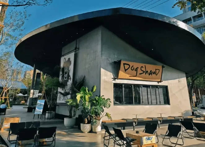 松弛感拉满！龙湾春节新晋打卡地，大家都爱去