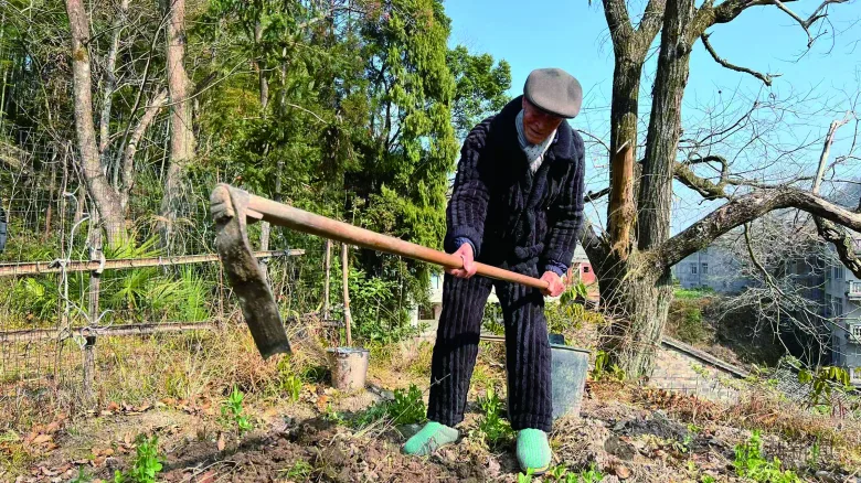 温州101岁老人爱种地 一年收获4000斤红薯、700斤芋头、500斤玉米
