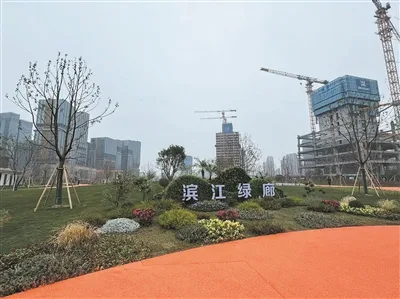 滨江绿廊开放了！温州多了条“绿飘带”