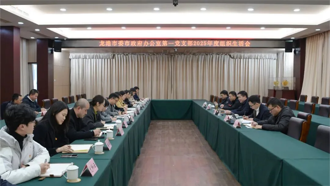 龙港市委书记林海涵参加市委市府办第一党支部组织生活会