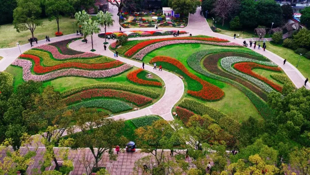 市区马鞍池公园郁金香花展开幕，快来打卡！