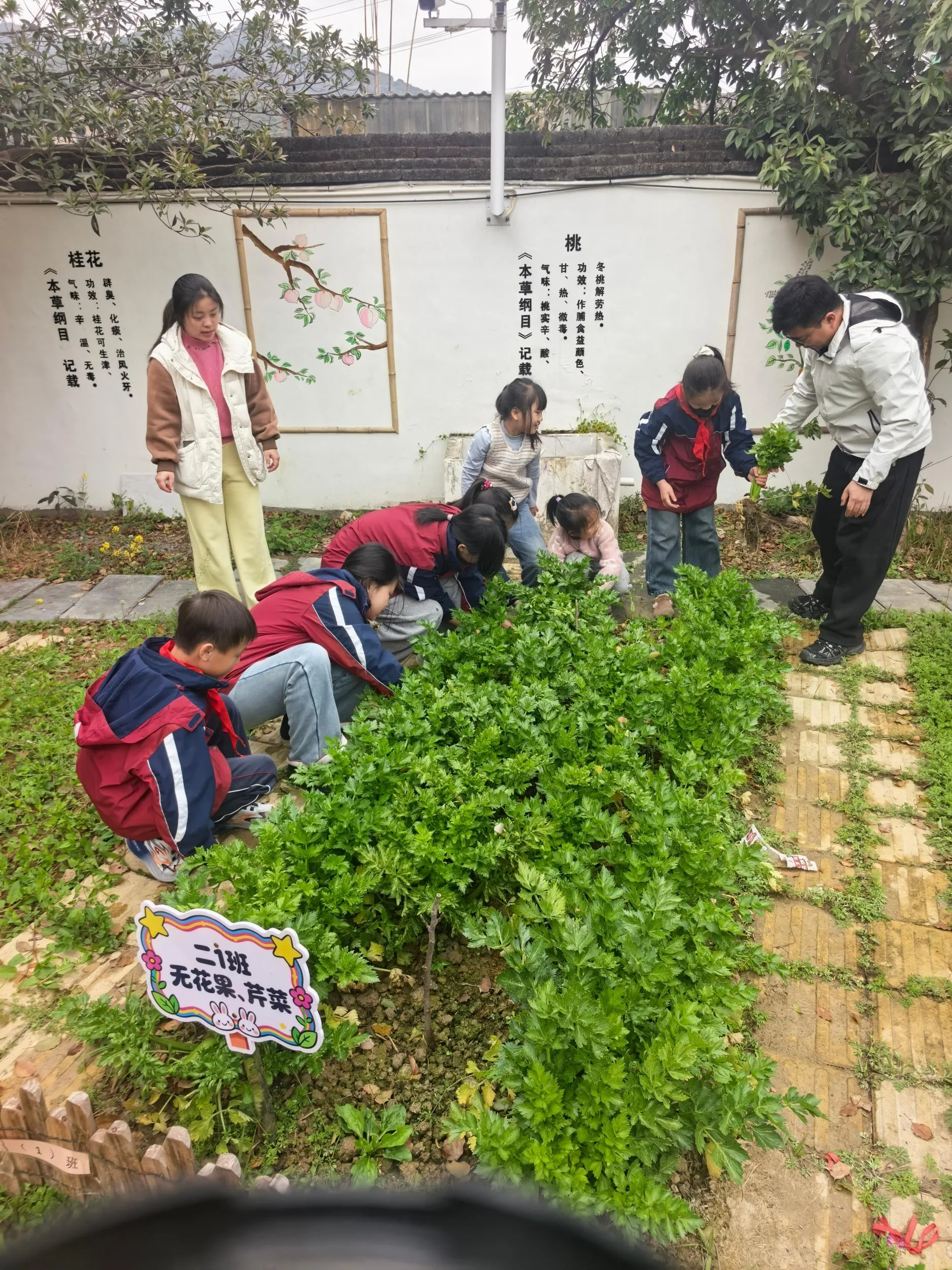 “每天活动2小时”的国家号召下 温州开学日很不一样