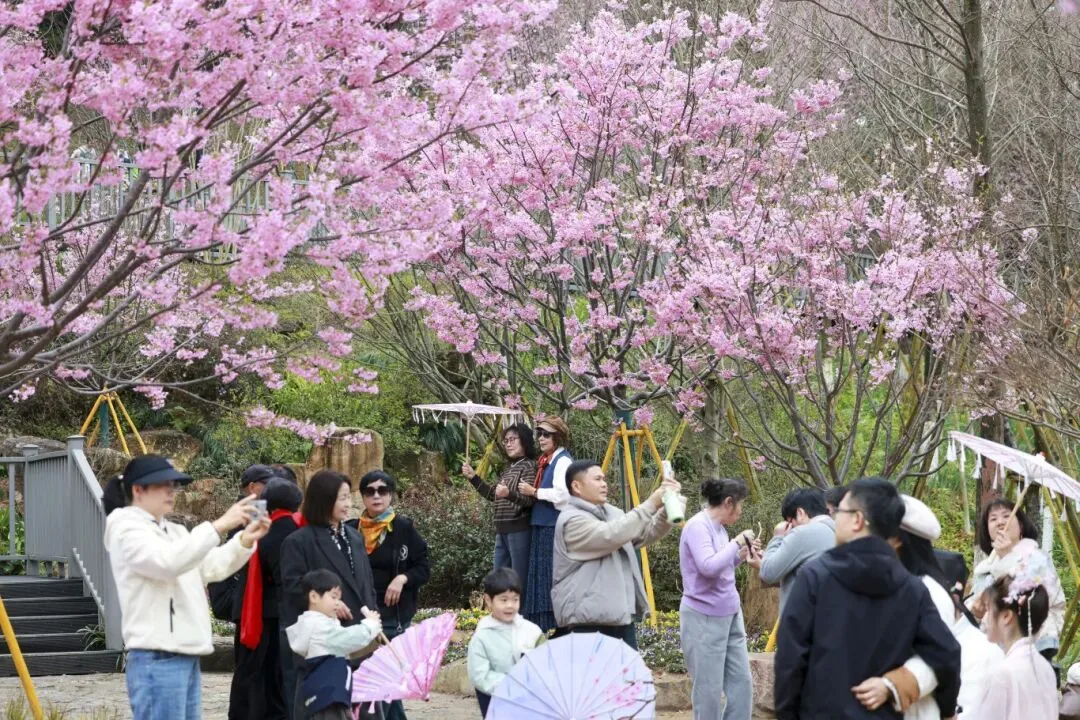 天气反转！温州人何时换春装？
