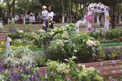 一米花园，为全城园博添彩