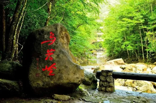 泰顺这片绿水青山，到底“值多少钱”？