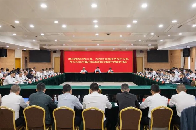温州湾新区党工委、龙湾区委理论学习中心组专题学习习近平总书记重要指示精神