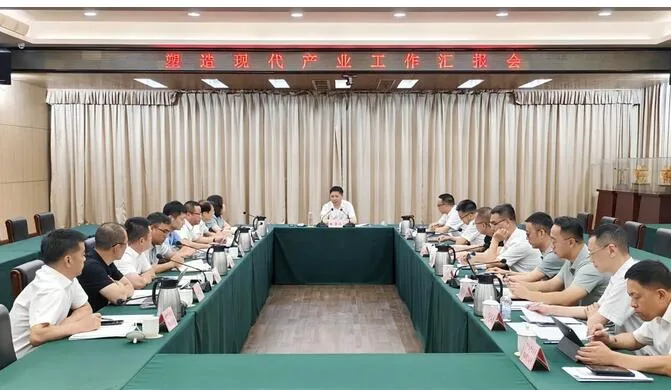 龙港召开塑造现代产业工作汇报会