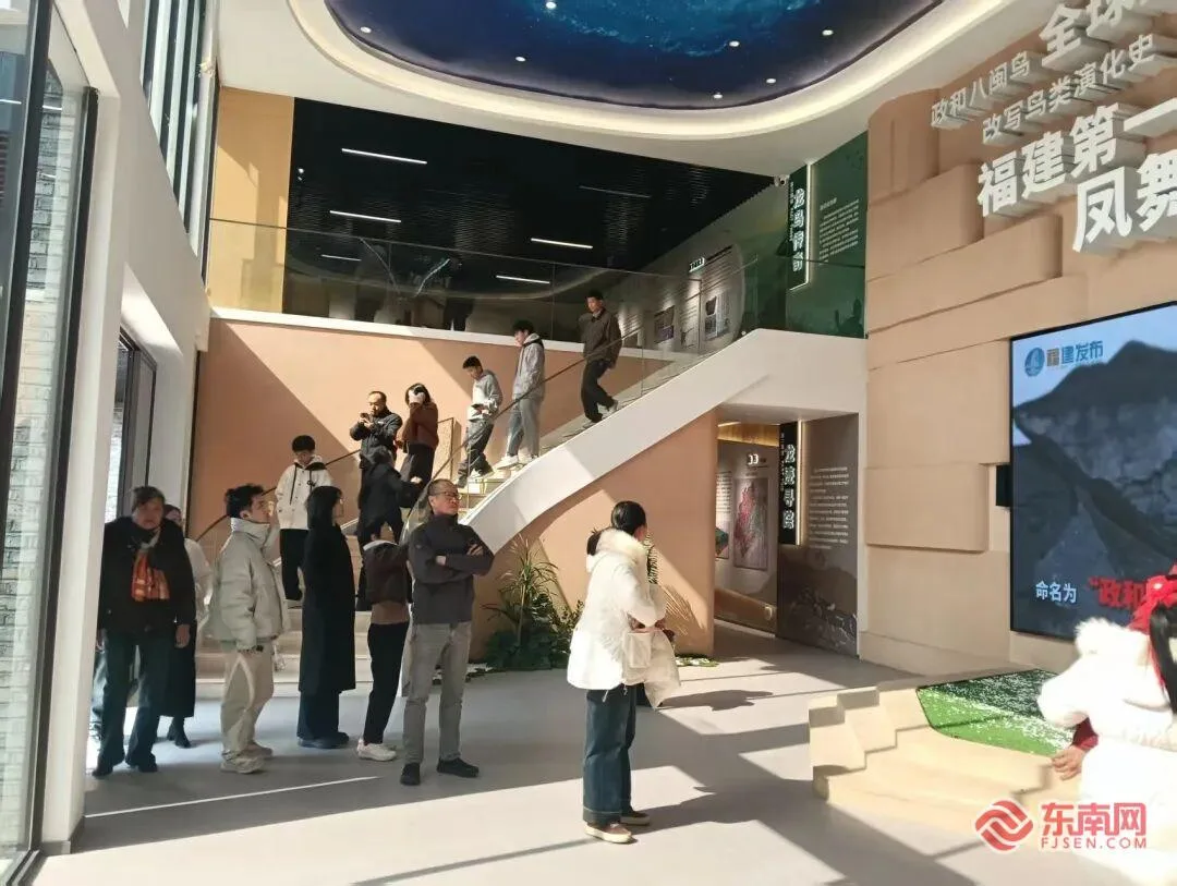 新春走基层｜政和县龙鸟小镇新春开业人气爆棚