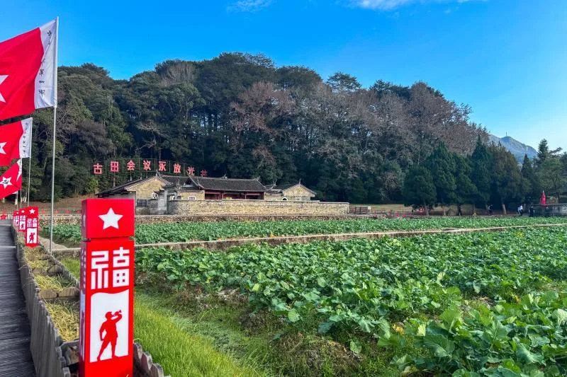 薪火传好|在五龙村，酿出“红火生活”
