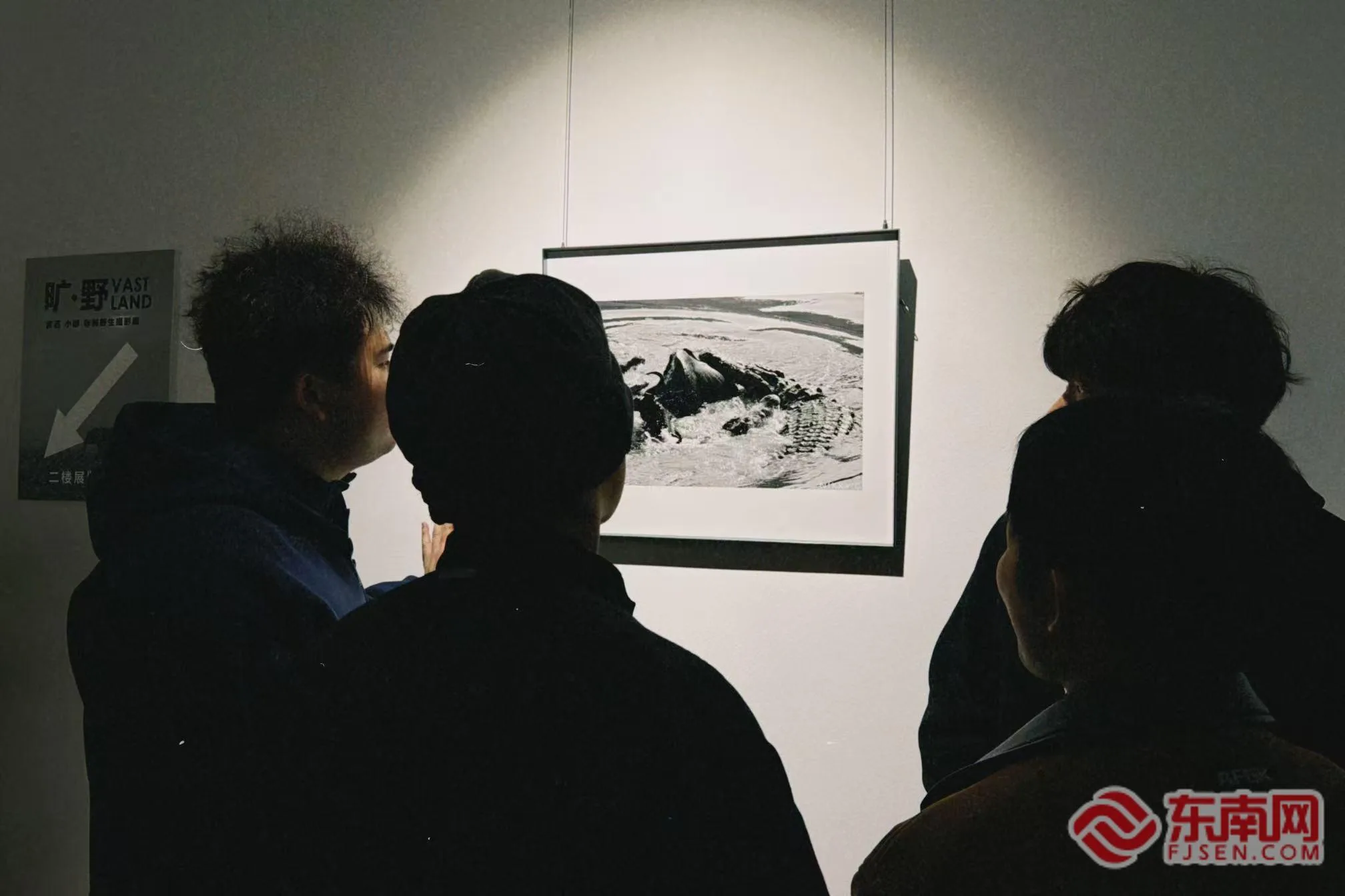 “旷·野——霄羽、小醒非洲野生摄影展”在福州开幕 以镜头对话自然与生命