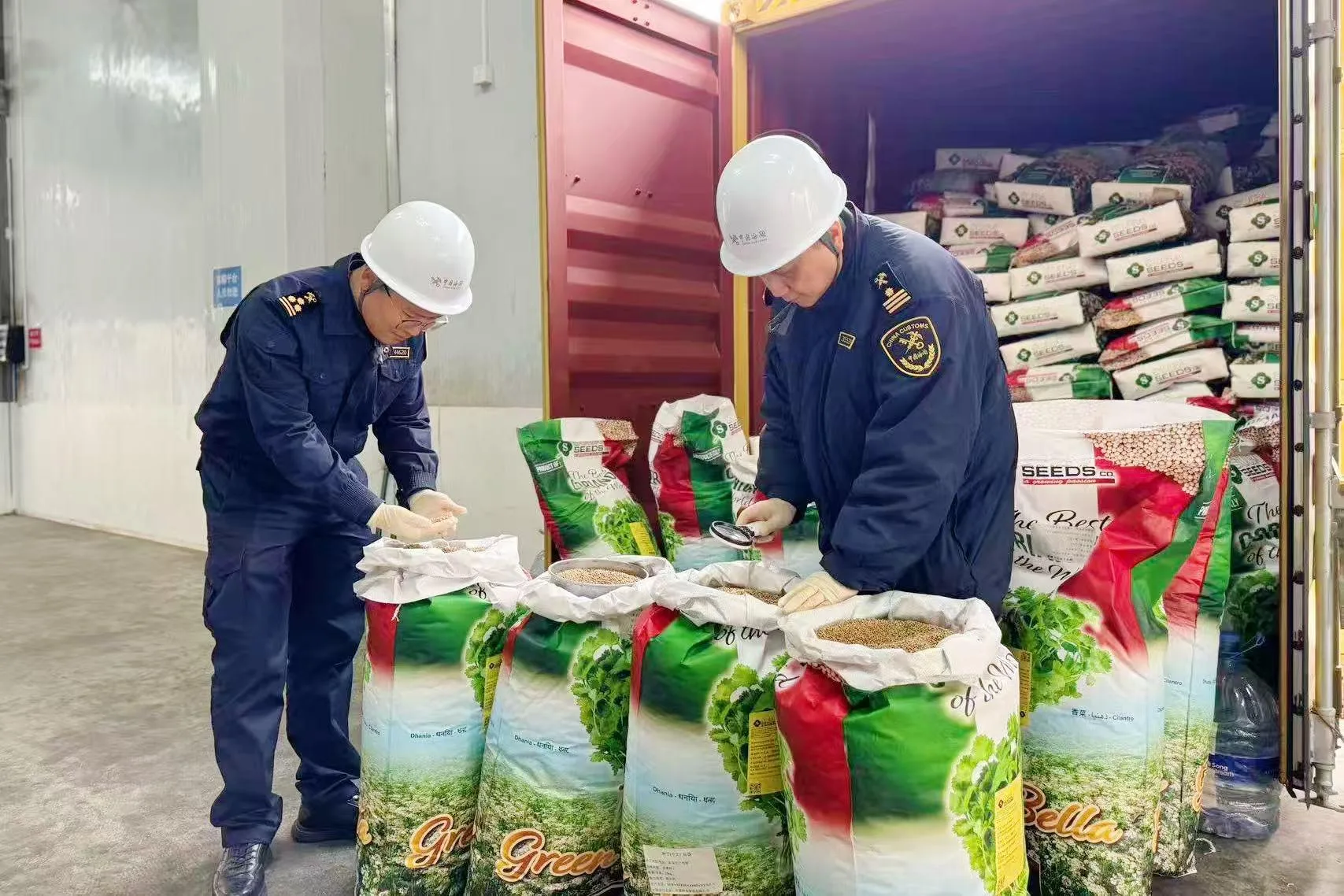 超500万吨 福州口岸良种通关迎高峰