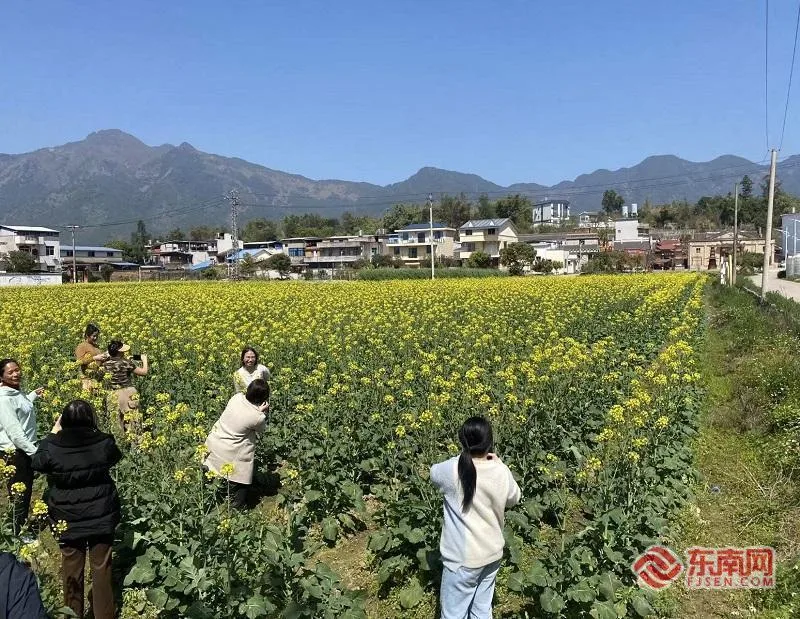 一座古村落的蝶变：闽台乡建乡创点亮桂林村