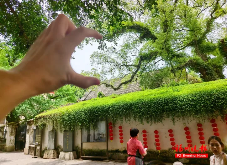 甜蜜“520”，福建给你比心啦！