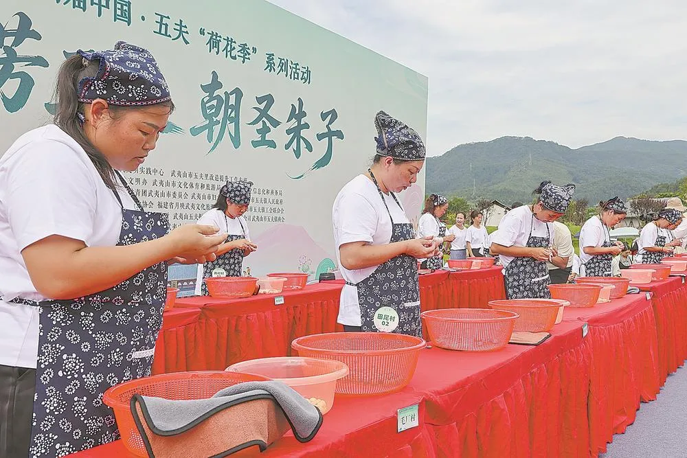 五夫迎来“荷花季” 社会