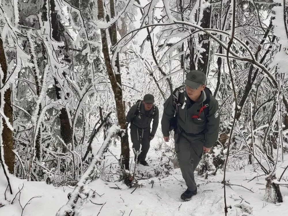 新春走基层·记者体验360行|我当野生动物监测员