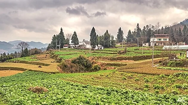 【新春走基层·走进贵州】这些曾经沉寂的村寨，热闹起来了——贵州山区走访见闻