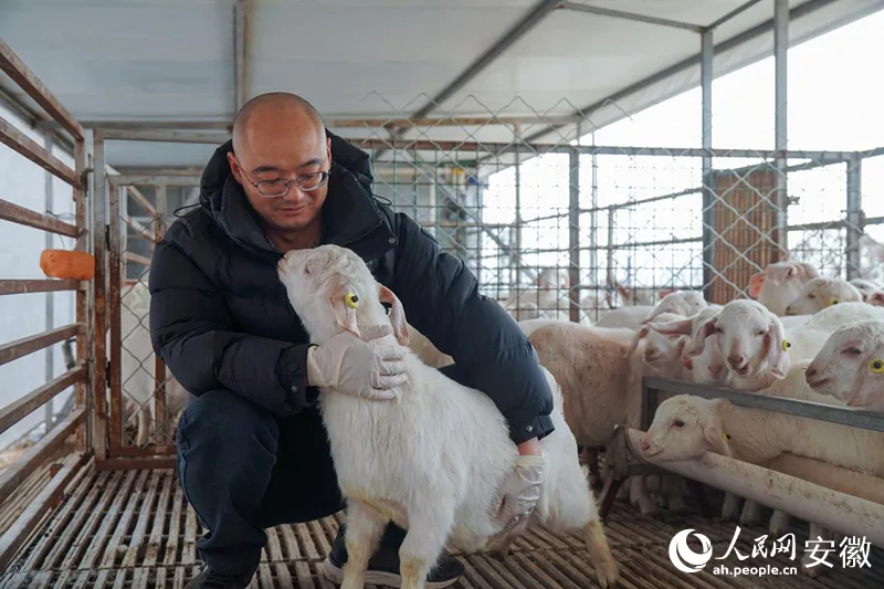 新春走基层丨村里来了“羊博士”