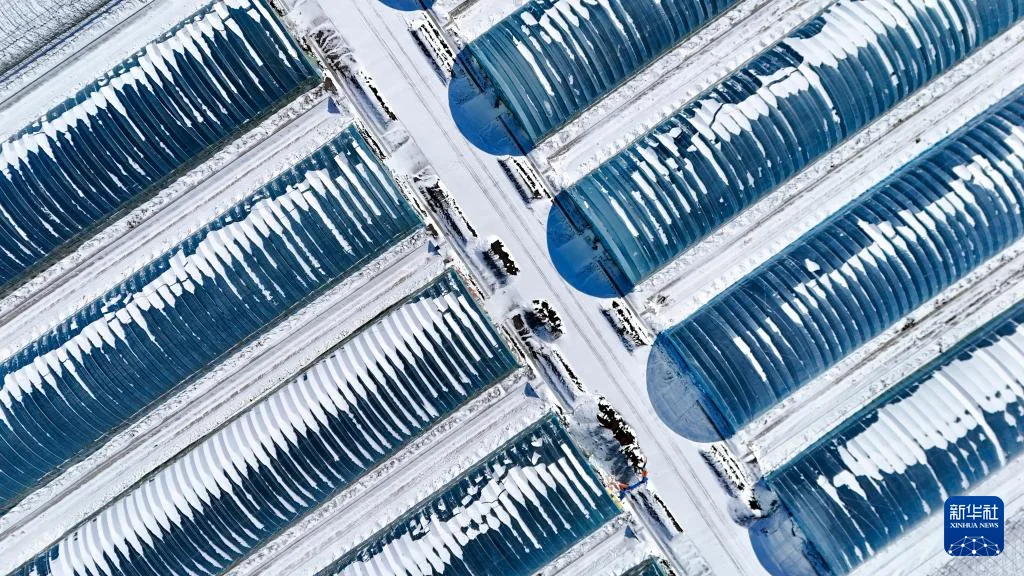 全国产粮第一大省黑龙江进入“备耕时间”