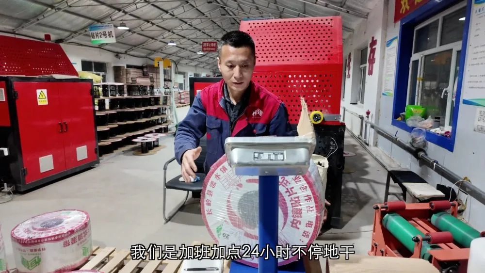 新华视点｜奋进正当时 各地产业发展亮点纷呈