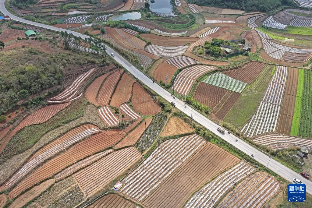 人勤春来早 农忙正当时