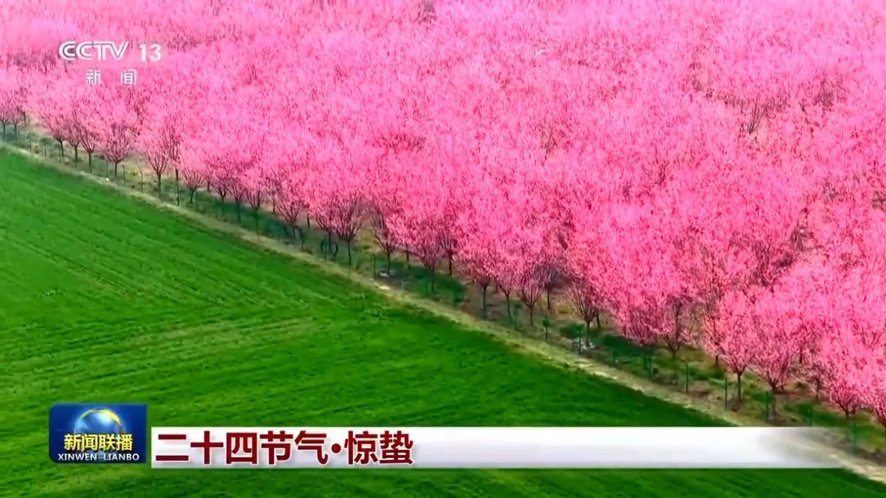 文化中国行丨二十四节气·惊蛰