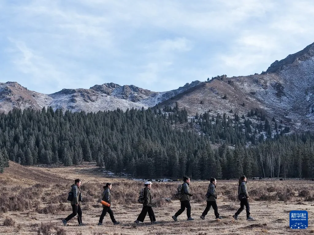巾帼力量守护祁连山