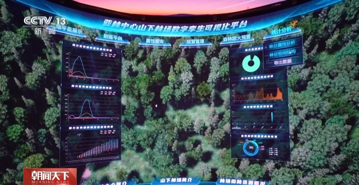 解锁绿色新高度 全球新增绿化面积四分之一来自中国