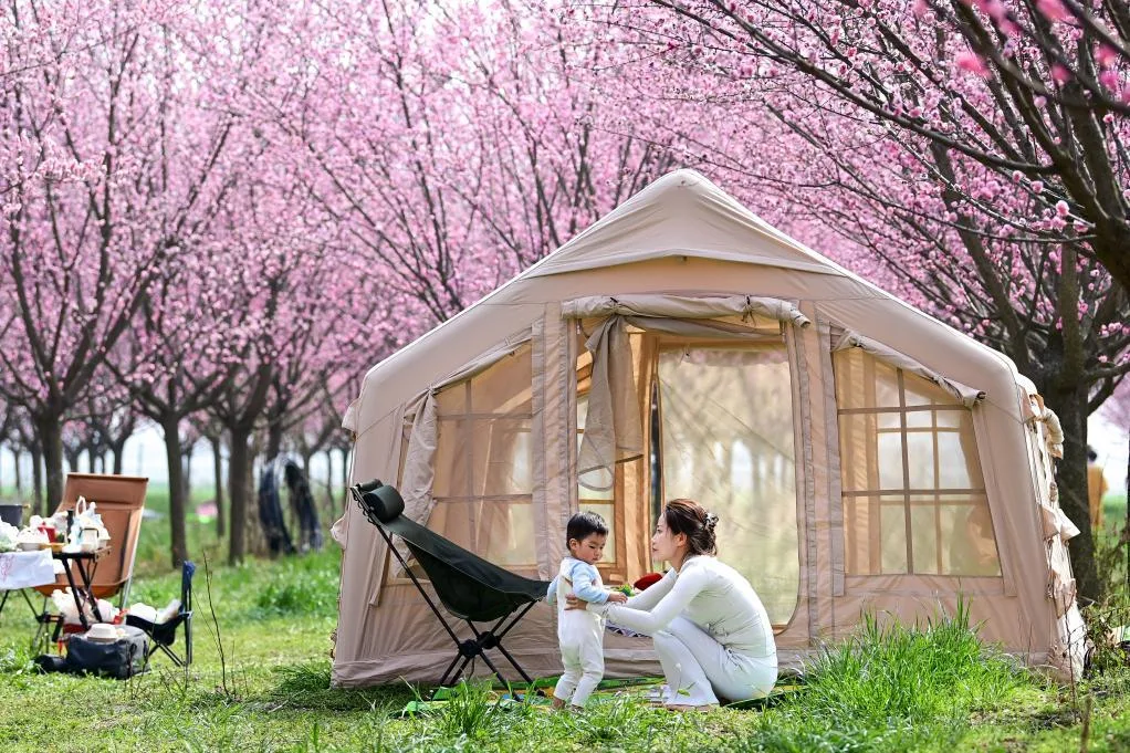 西安鄠邑：春日赏梅正当时