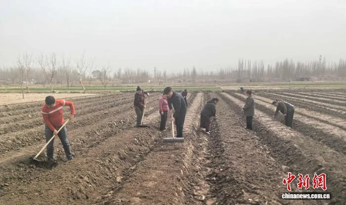 电商直播赋能 新疆基层干部蹚出乡村振兴“新路子”