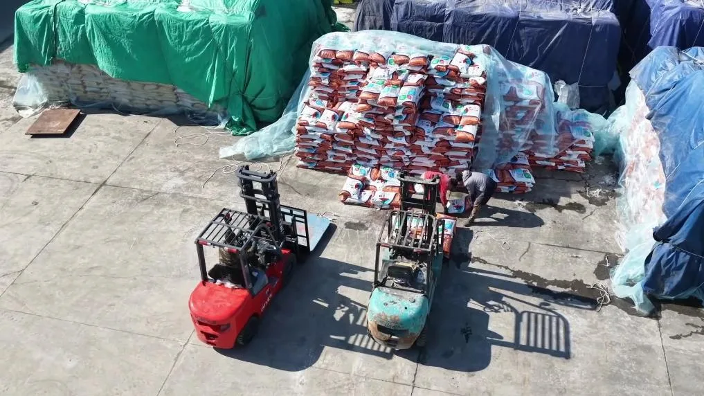 新华视点｜不负春光开好局 各地忙生产稳就业