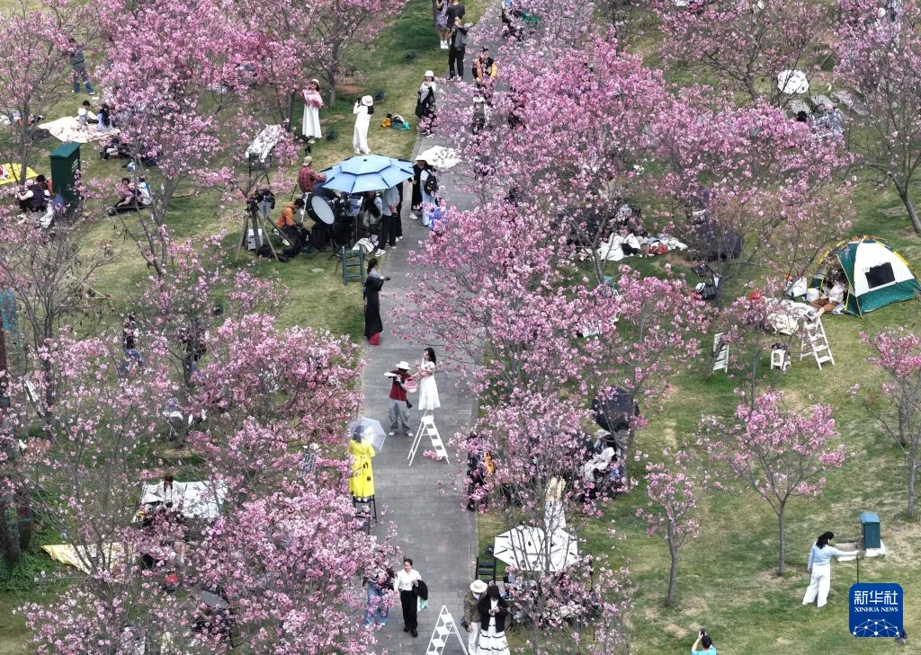 春光明媚赏花时