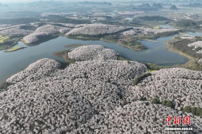 从“看客”到“玩家” 中国春日“花样”多