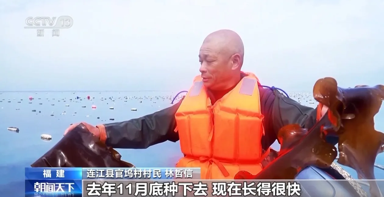 筑牢“蓝色粮仓” 我国海洋渔业种源攻关连获突破