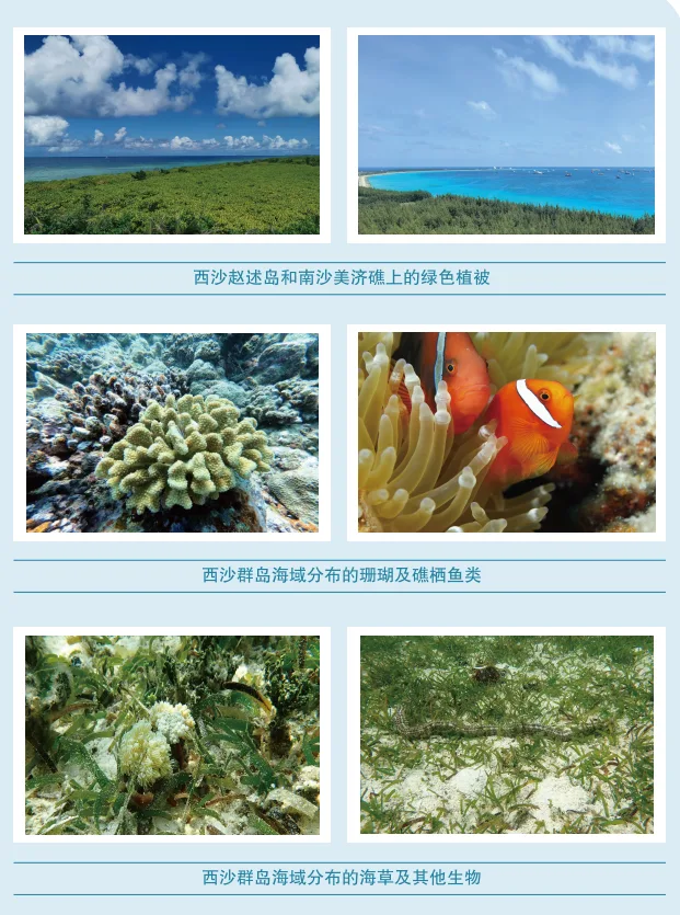 最新报告显示：南海表层海水符合第一类海水水质标准