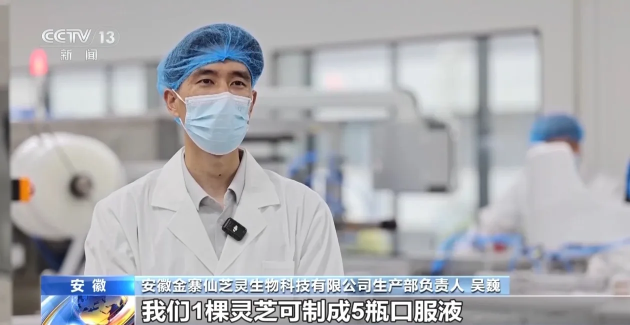 一朵灵芝“长”成大产业 乡村特色产业全链提质升级