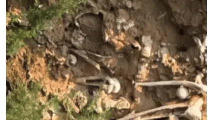 一路面塌陷处惊现大量白骨？当地文保部门回应
