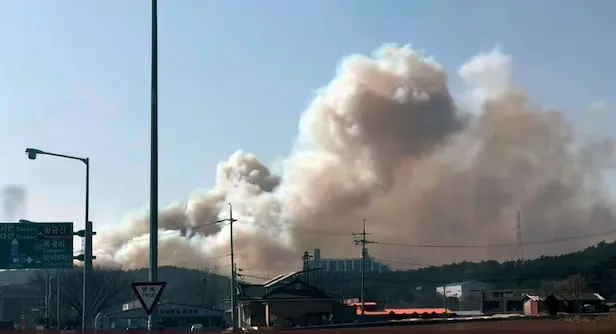 韩媒：韩国忠清南道接连爆发野火，相关部门出动十余架直升机参与灭火