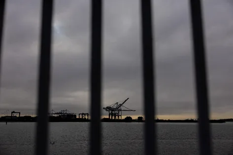 美最高法院裁定关税违法后大批企业要求索赔，美政府给出时间表：手动处理需“4431161小时”