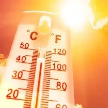 德国高温或卷土重来：专家称热浪下周再袭，个别模型甚至预测45℃