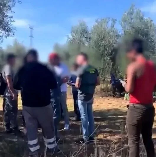 【欧浪】一农场主涉嫌剥削无证移民，18人被挤在无卫生设施仓库内